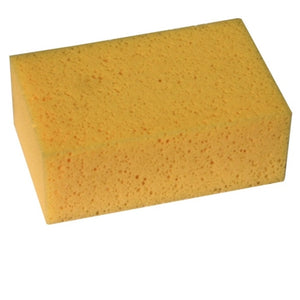 Genesis Professional Sponge (Trade)