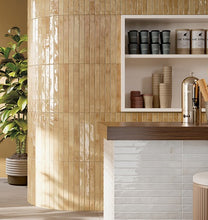 Colors Porcelain Wall Tiles 450x48mm