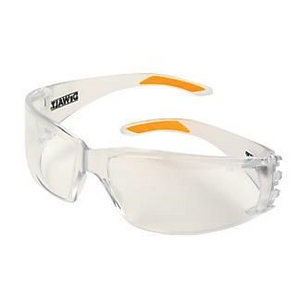 Dewalt Safety GLasses DPG103