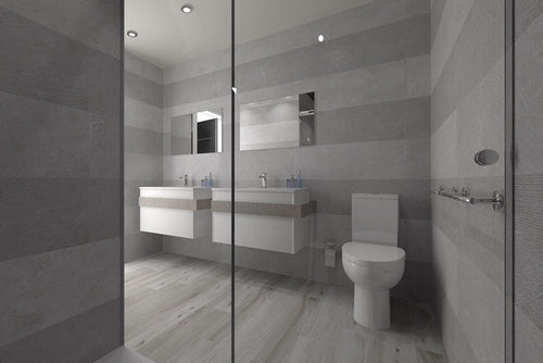 Park Gris Wall Tiles 250x443mm